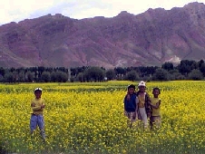 In Tibet